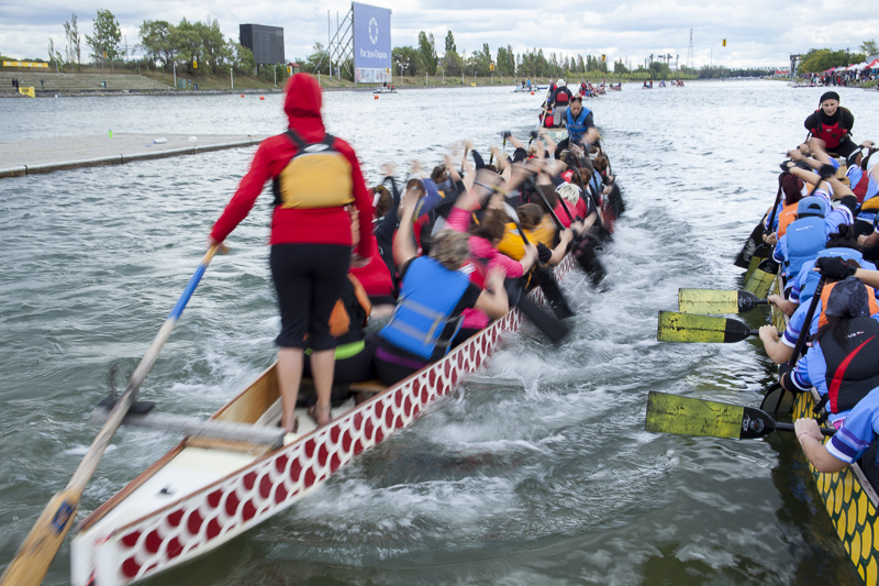 Dragon Boat race - Quebec cup 2012 - Montreal
